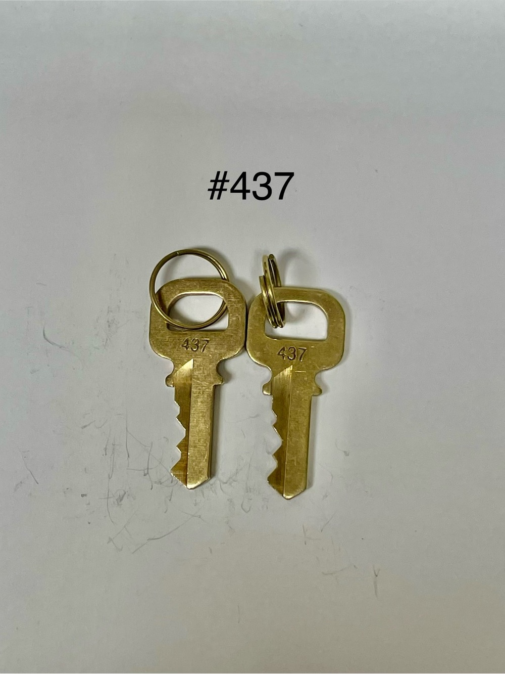 Louis Vuitton Gold Tone #437 Key Pair